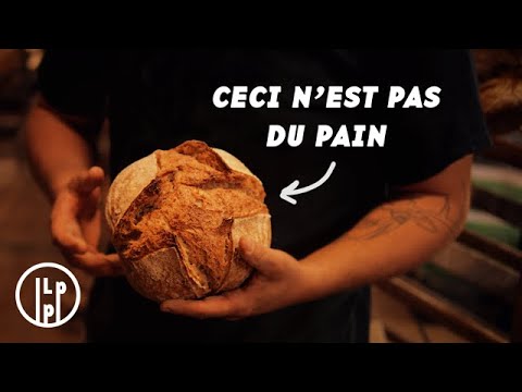 D&#039;où vient la farine du pain que je mange tous les jours ?