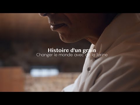 Histoire d&#039;un grain : de la farine pour changer le monde