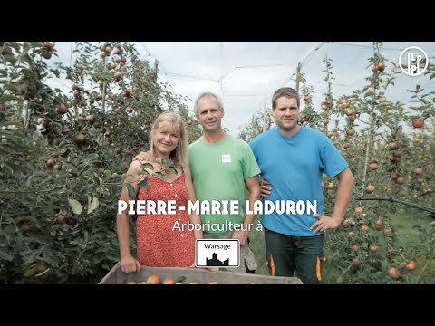 Pierre-Marie Laduron, arboriculteur bio à Warsage 🍎