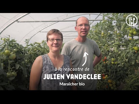 Julien Vandeclee, maraîcher bio à Houtain-Saint-Siméon