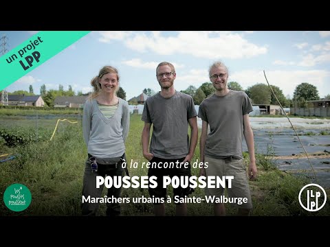 Un projet innovant d’agriculture urbaine sur les hauteurs de Liège