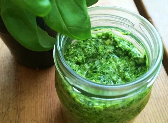 Pesto fanes de radis // noisettes // basilic