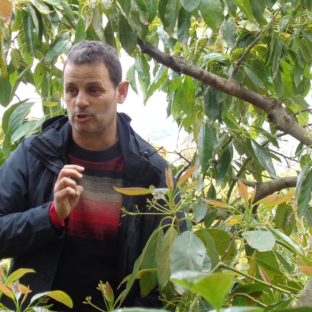 Jesus Villena (Frutorganic)