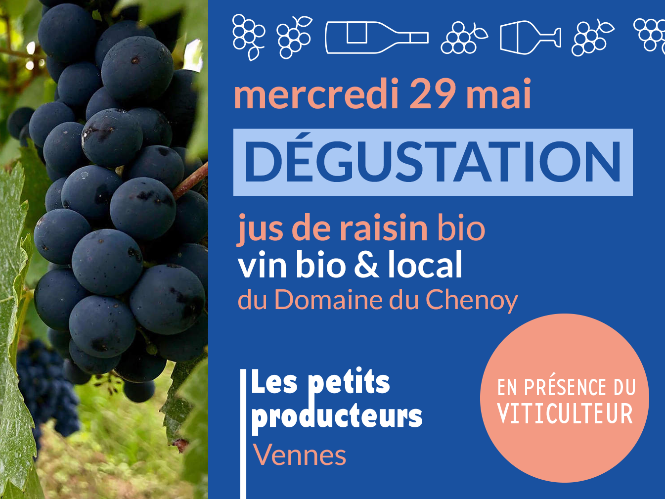 Dégustation de vin bio et local – 29 mai (LPP3)