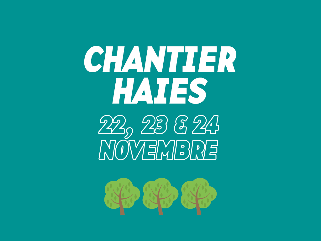 Parcelle CREaFARM: c’est parti !