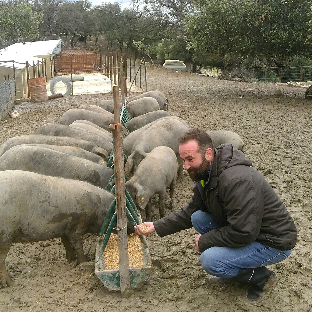 Antonio Marin (La Umbria)