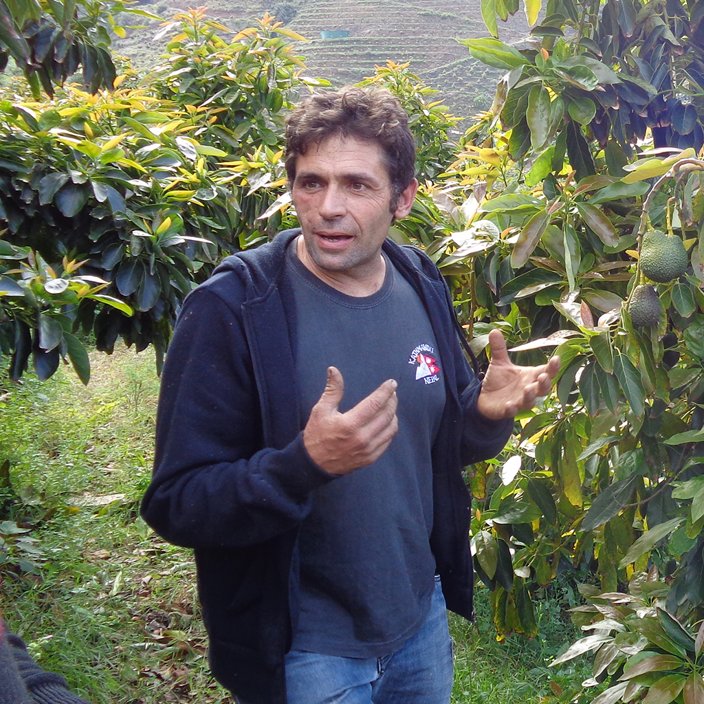 Carlos Marquez (Bosque Tropical)