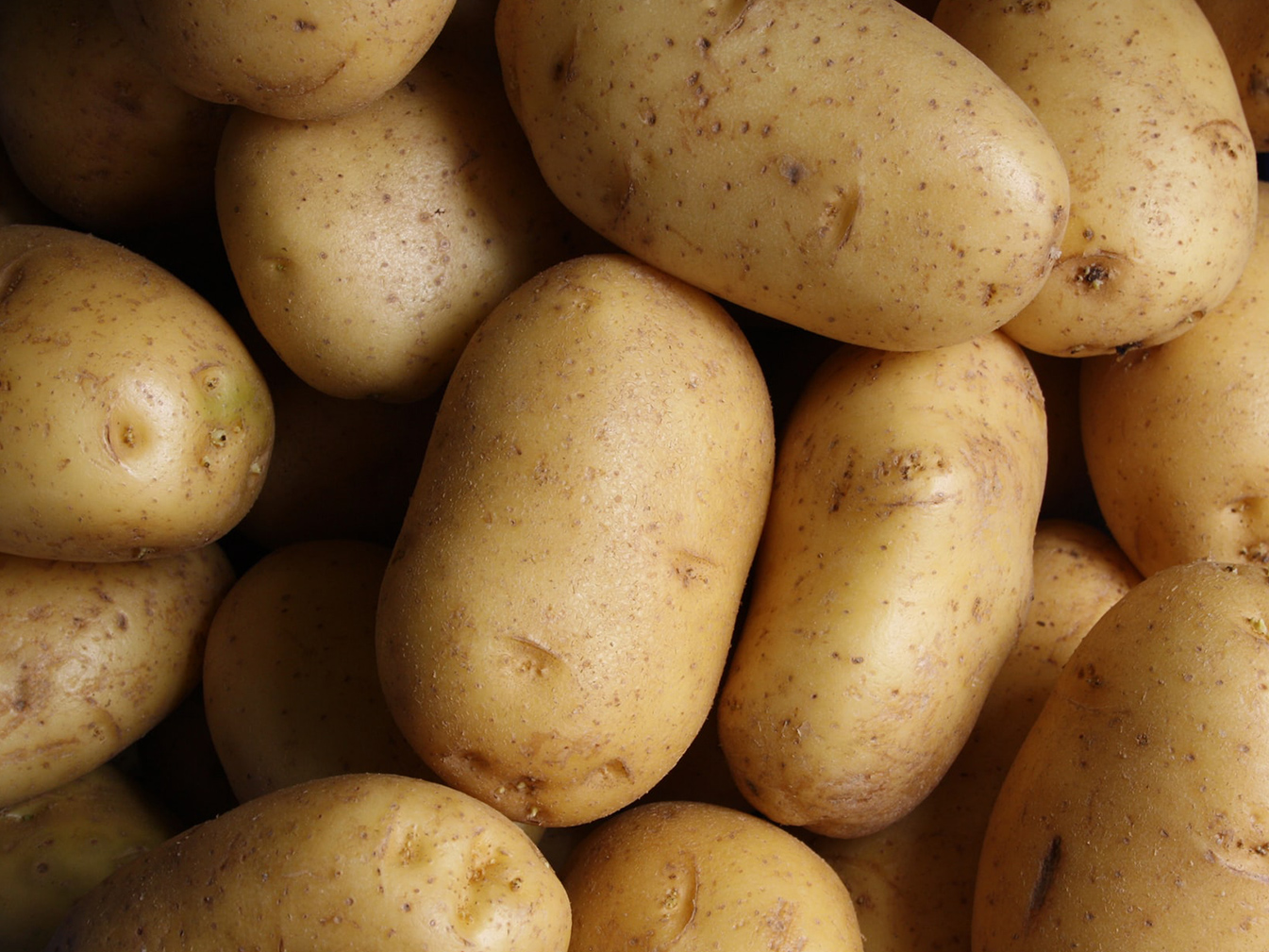 Réflexion sur la saison des pommes de terre
