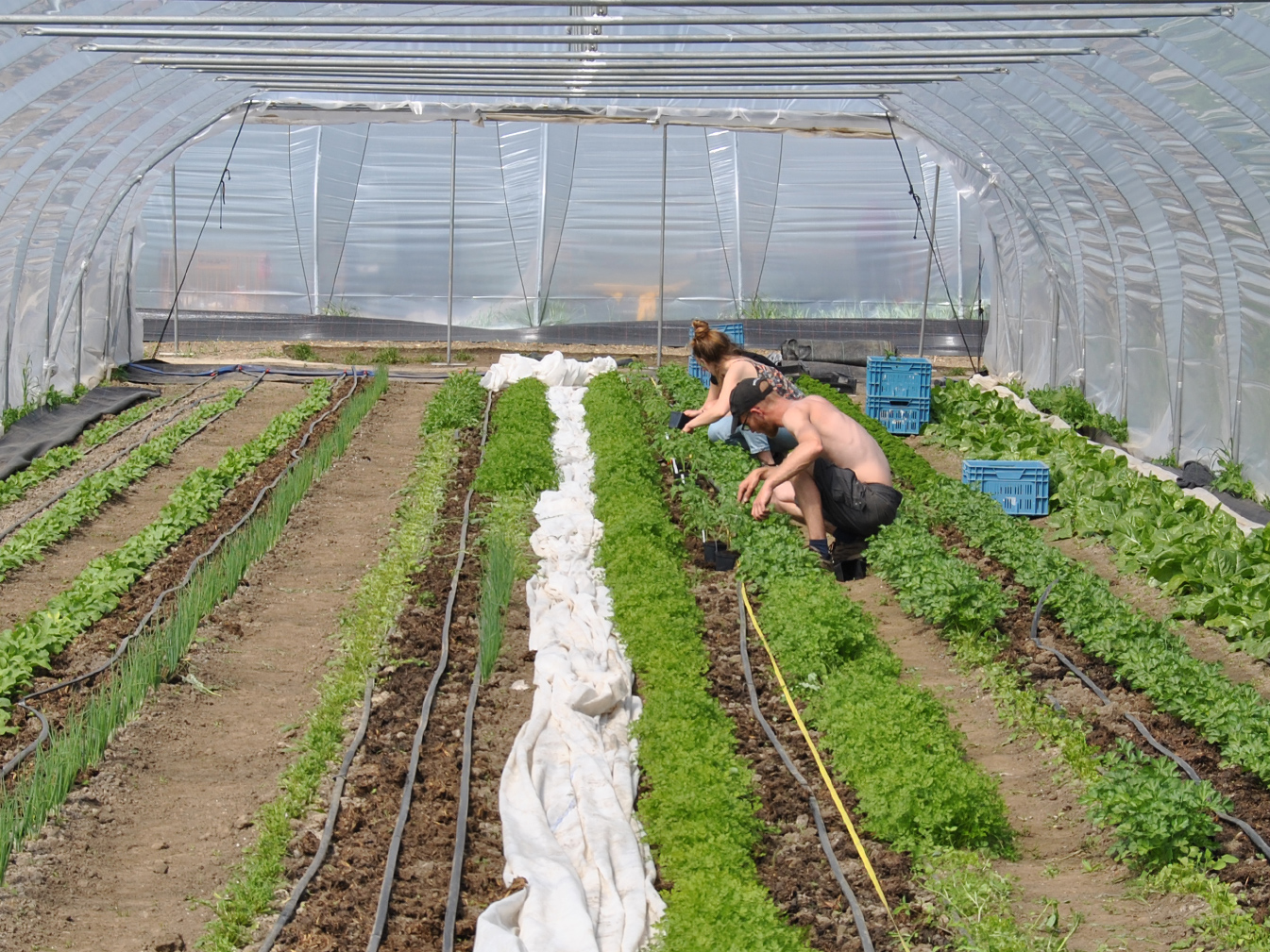 [Communiqué de presse] Covid-19 et producteurs locaux en région liégeoise