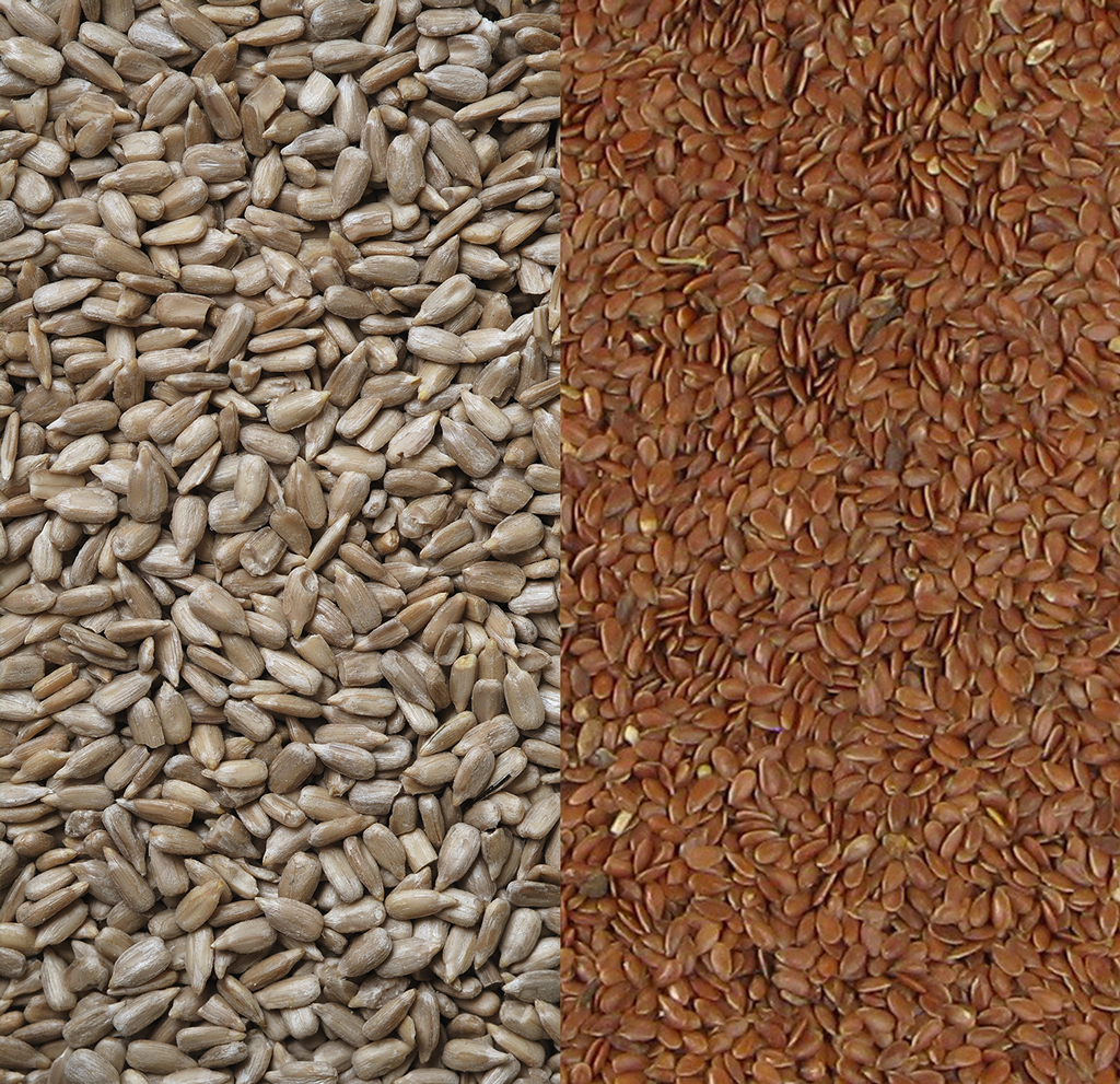 Nouveau: graines de tournesol et graines de lin