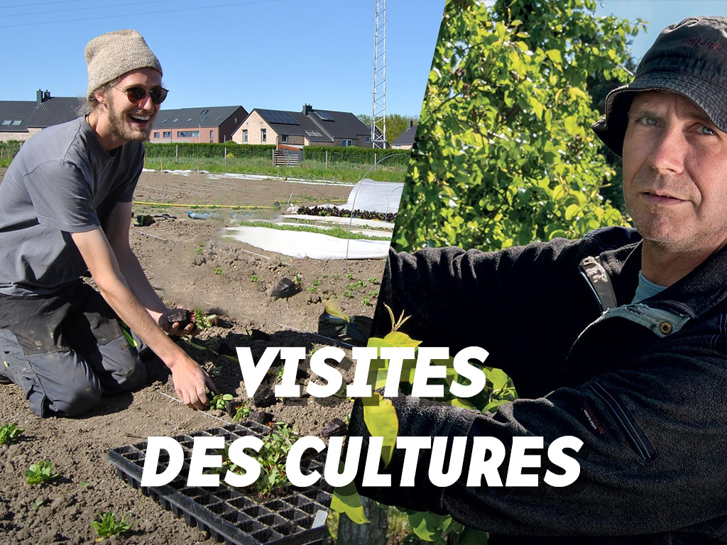 Rencontrez nos producteurs 🥕