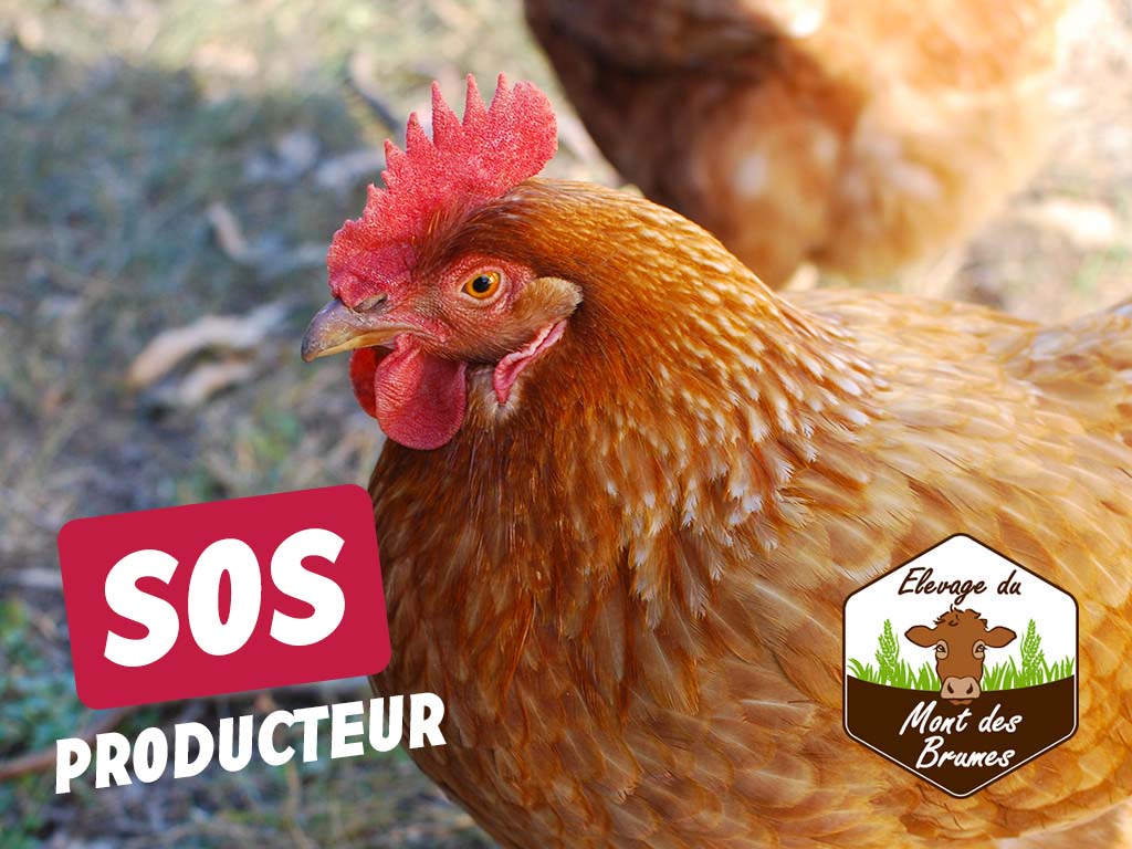 Commandez votre poulet fermier (novembre 2021)
