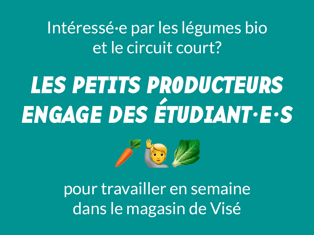 Job étudiant à Visé