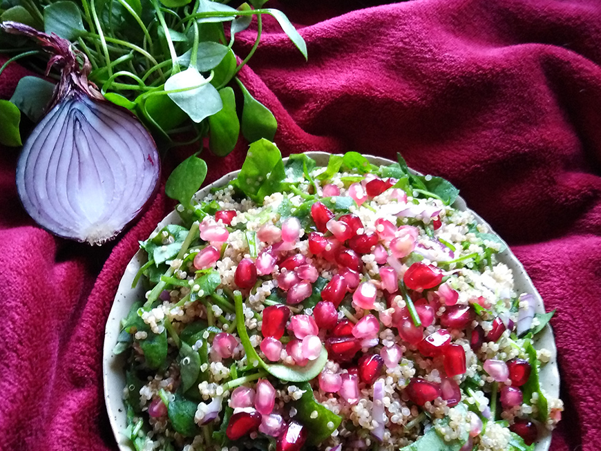 Taboulé de quinoa à la grenade et au pourpier