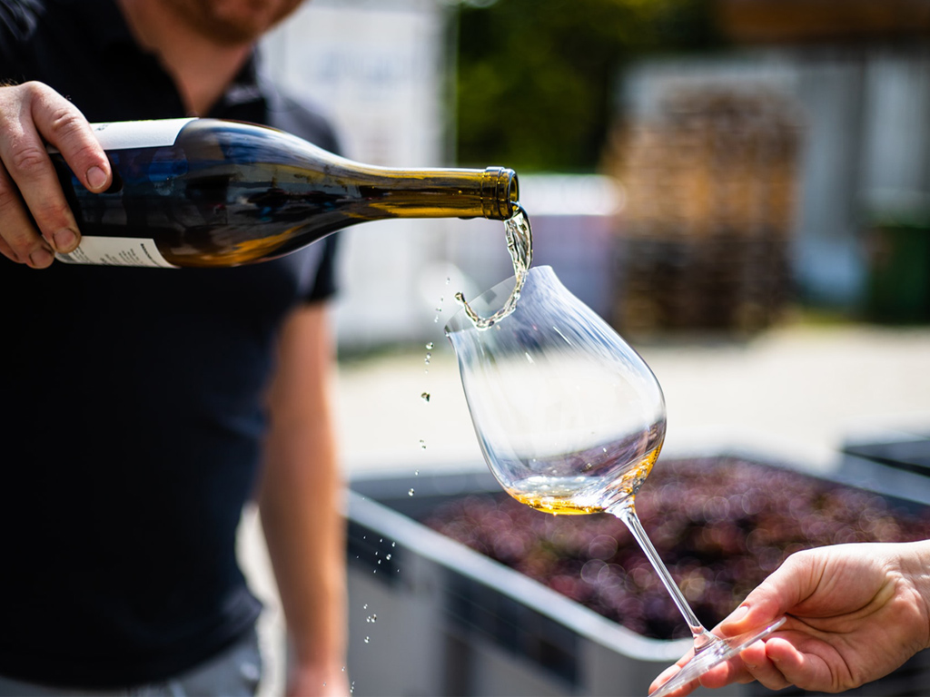 Dégustations de vin bio