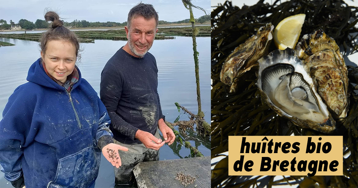Huîtres bio bretonnes 🦪