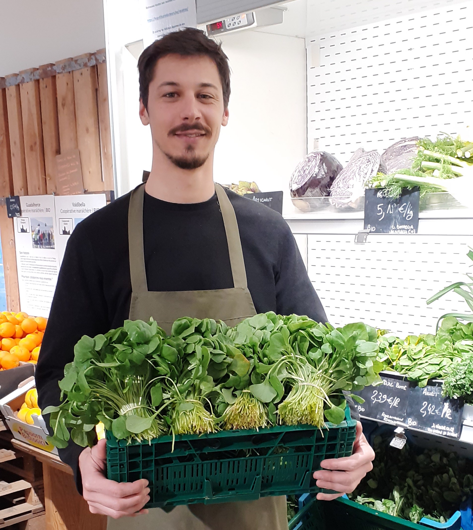 🌱🚨 SOS POURPIER 🚨🌱