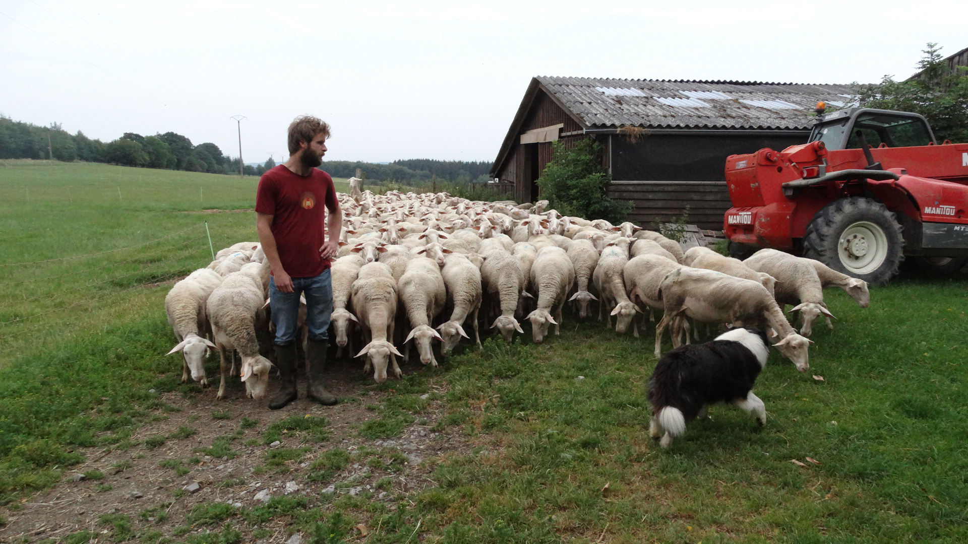 Coup de projecteur sur la Bergerie de Lisbelle