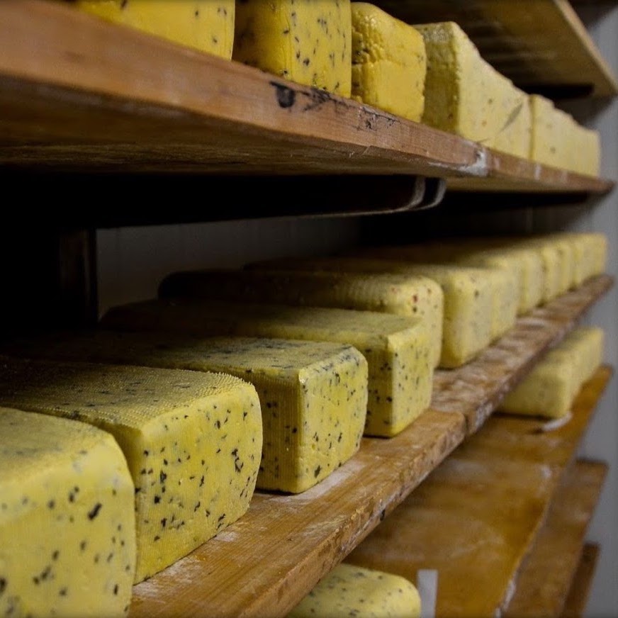 Coup de projecteur sur la Fromagerie du Bairsoû