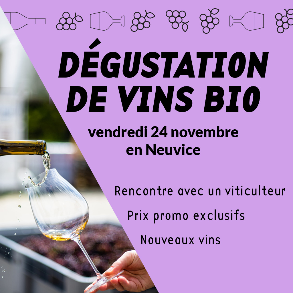 🍷 Dégustation de vins bio en Neuvice
