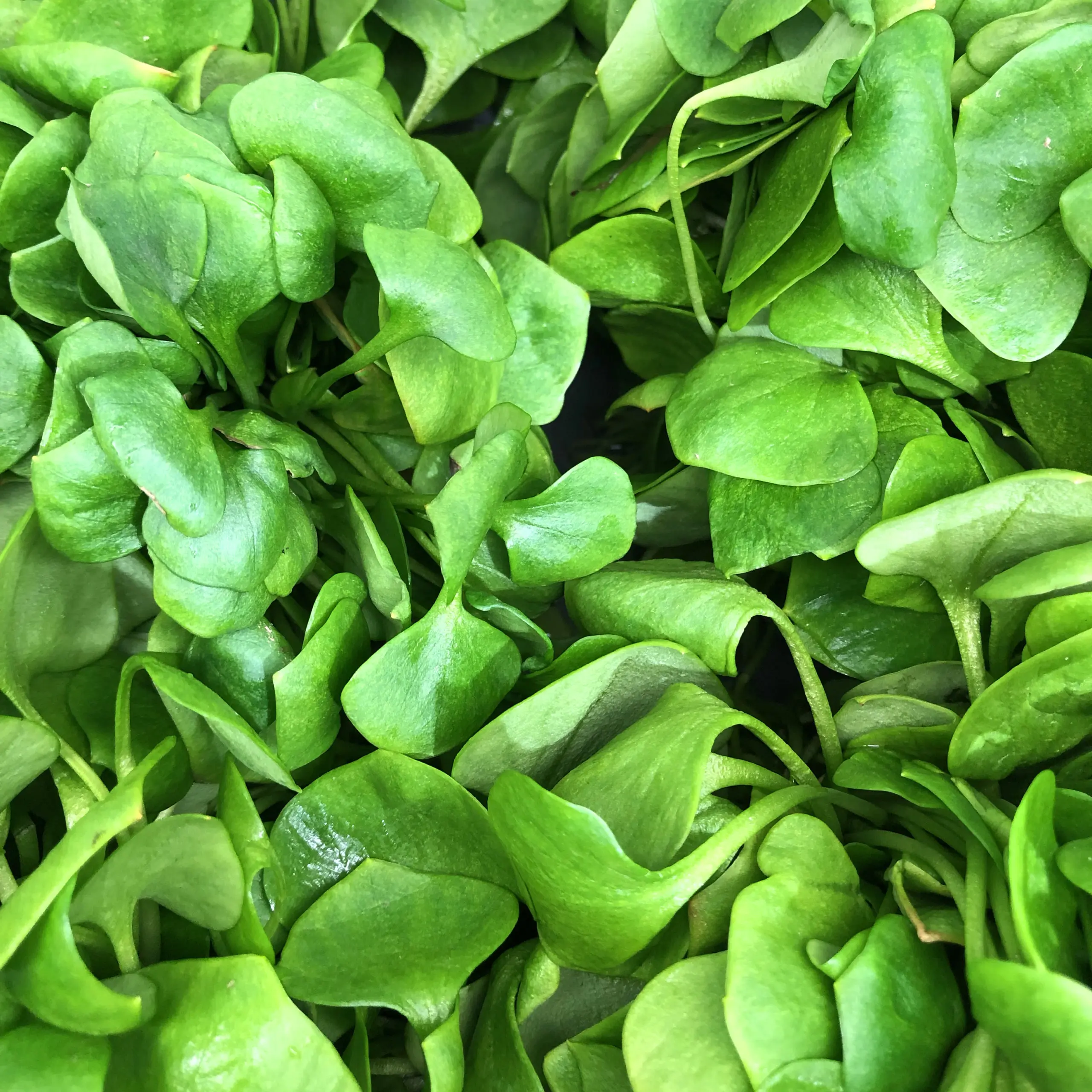 Cette semaine dans nos magasins (17/11/2025)