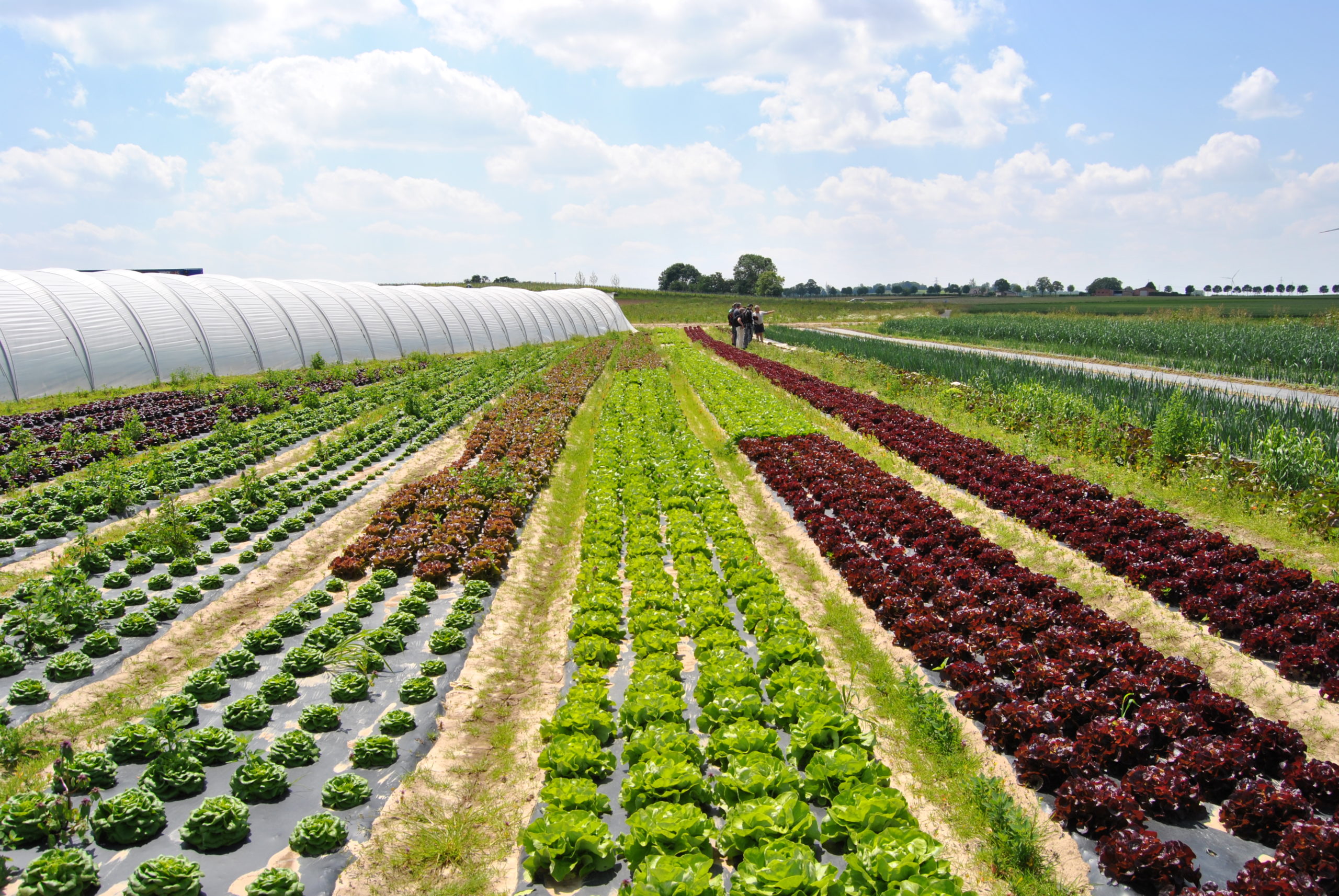 À la rencontre de nos producteurs
