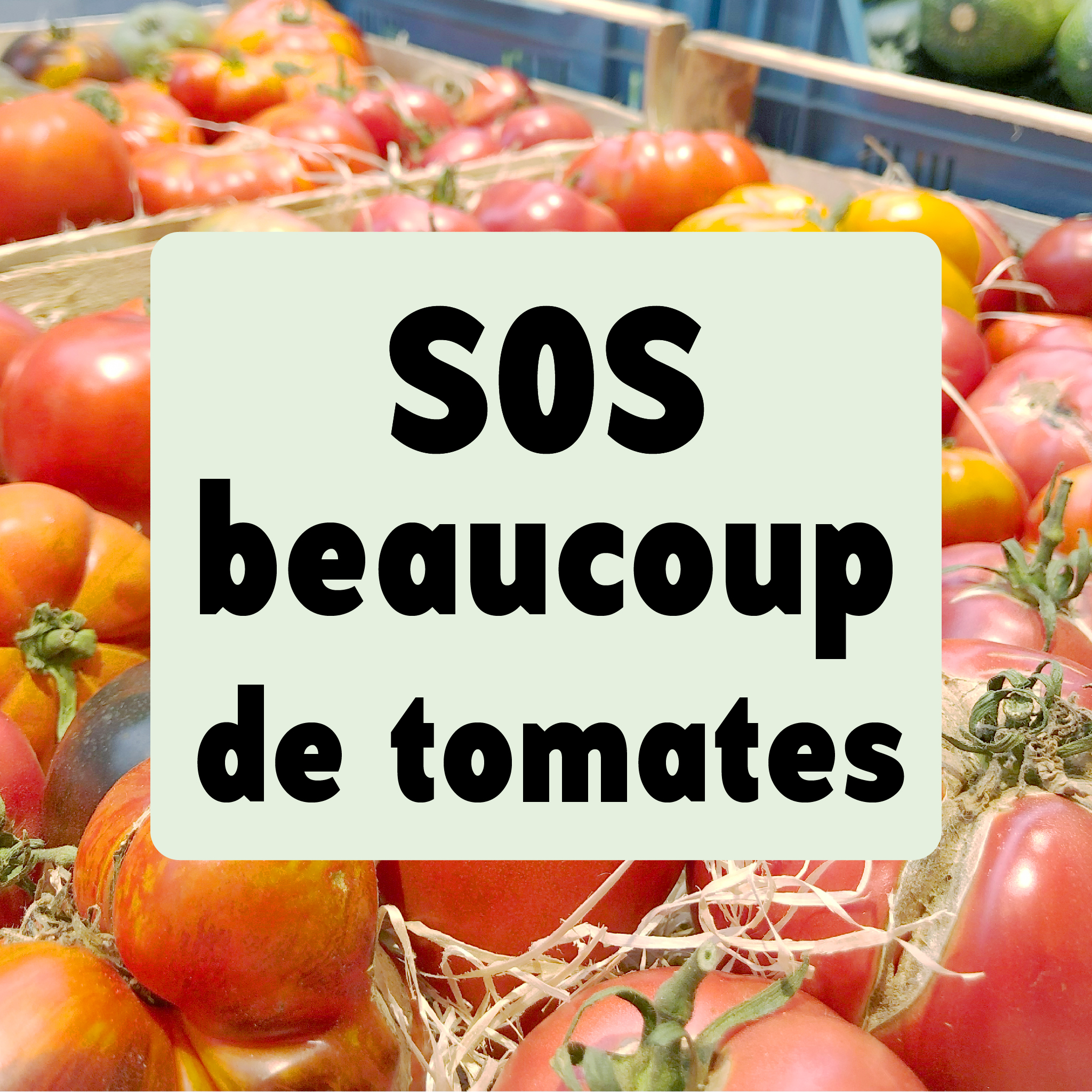 Cette semaine dans nos magasins (05/08/2024)