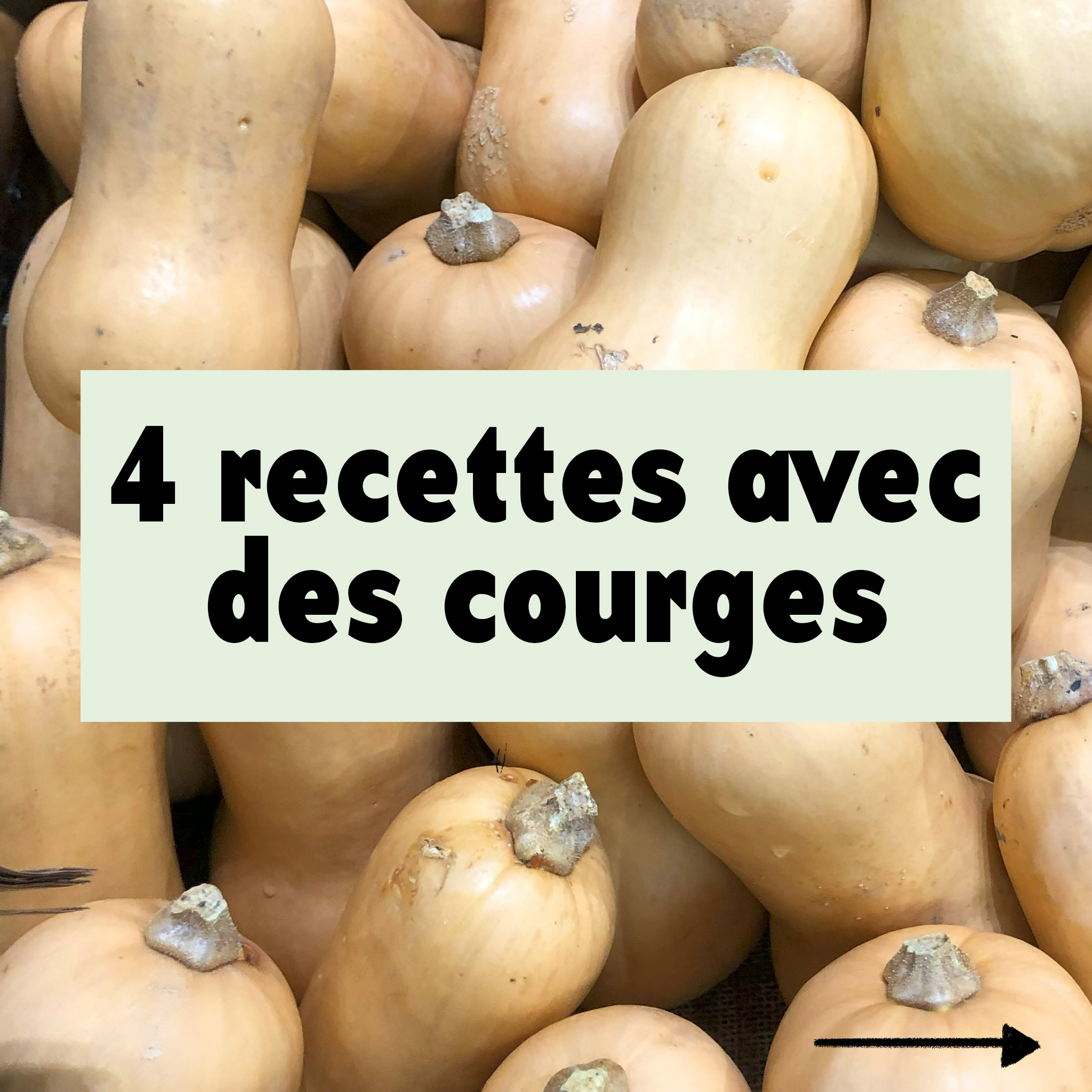 4 recettes avec des courges