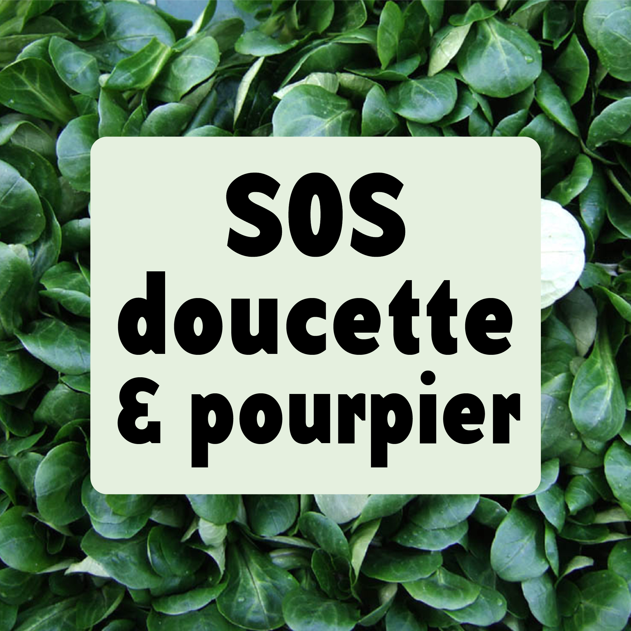 Cette semaine dans nos magasins (12/11/2024)