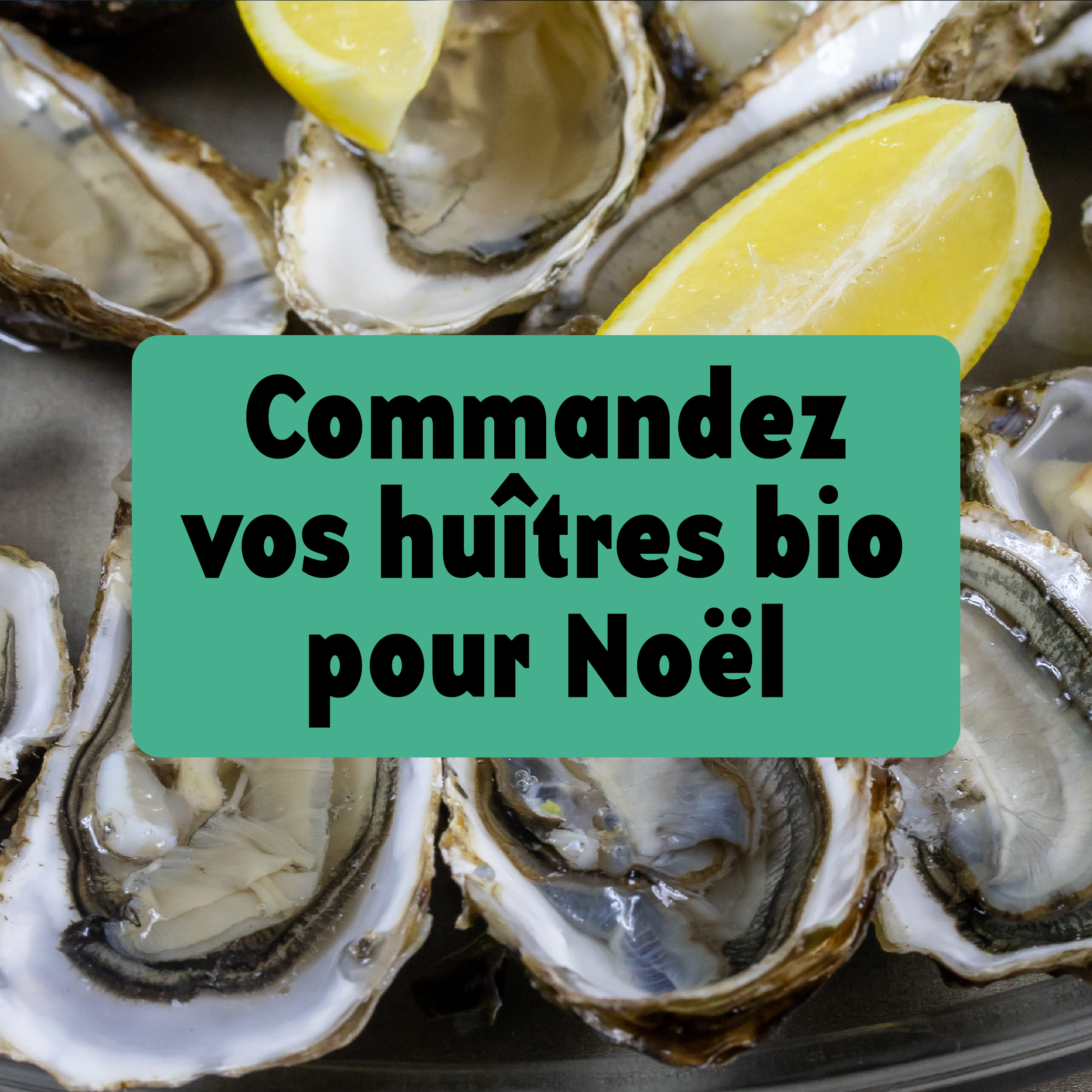 Cette semaine dans nos magasins (09/12/2024)