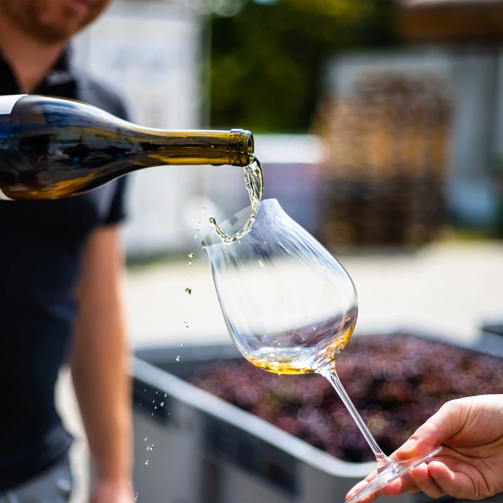 🍷 Notre sélection vins pour les fêtes