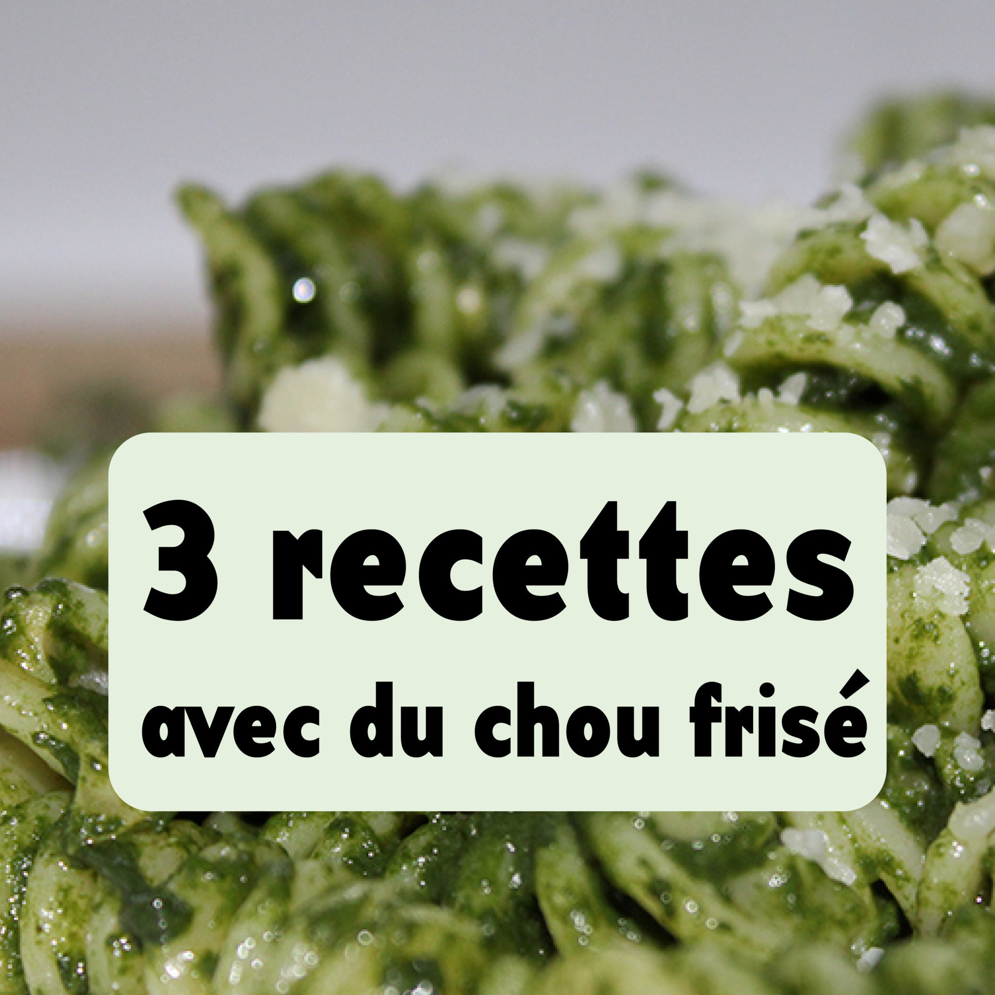 3 recettes avec du chou frisé