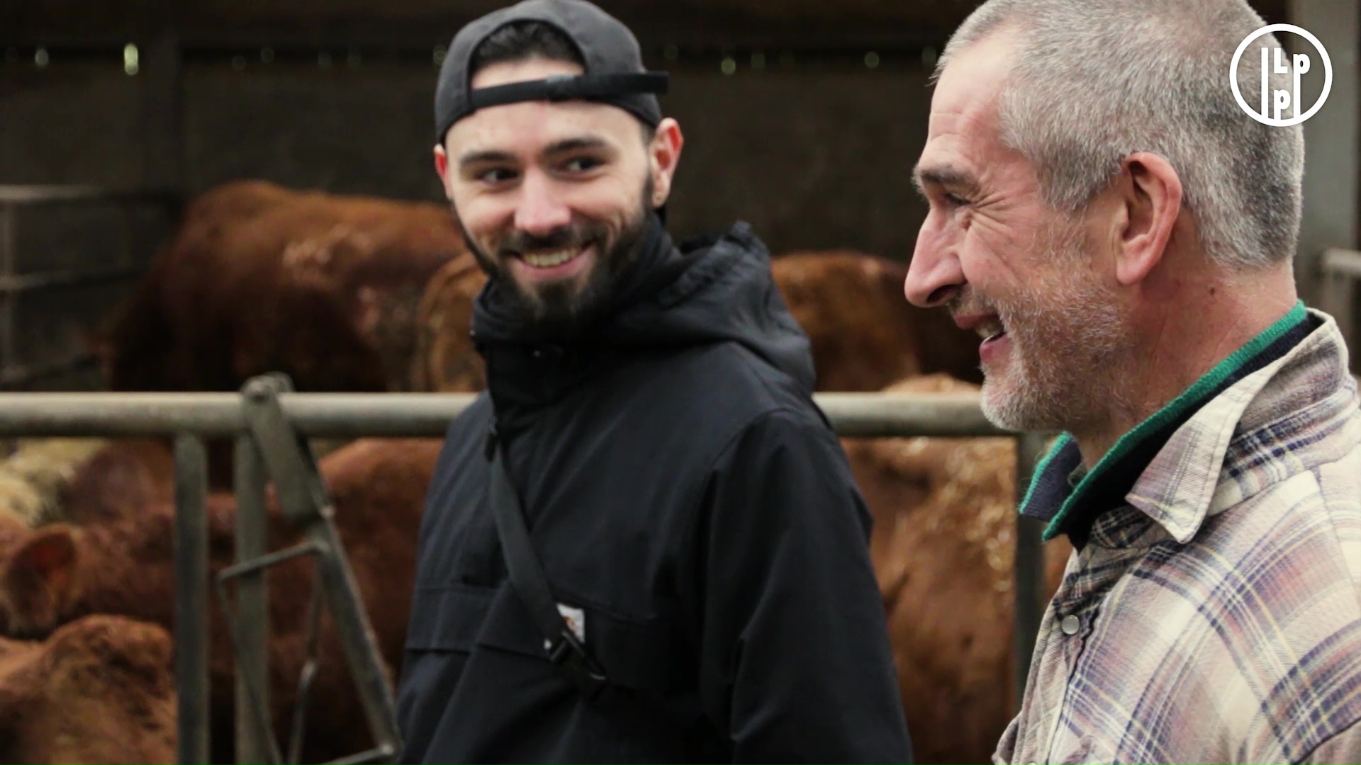 Une journée chez En direct de mon élevage 🥩