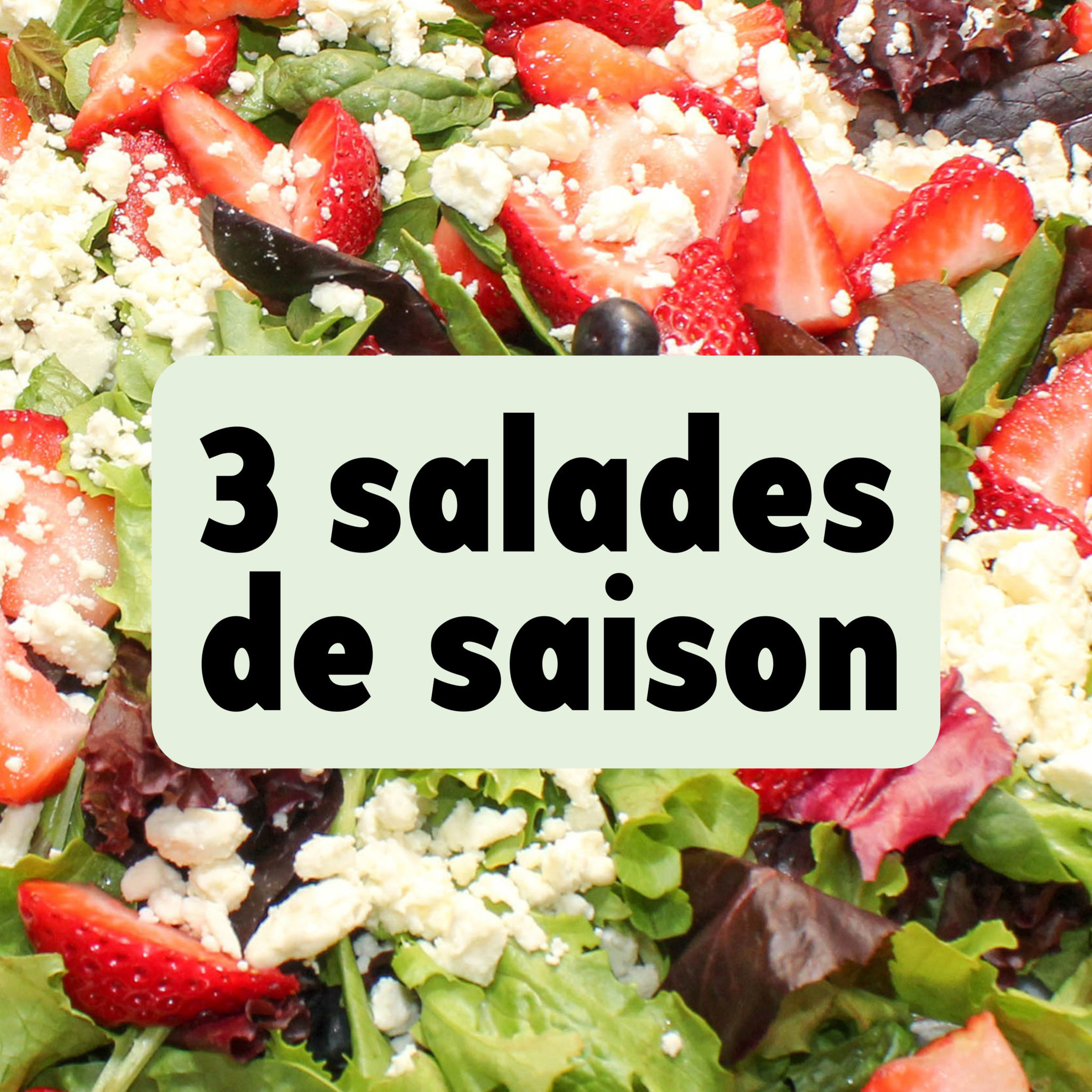 3 salades de saison