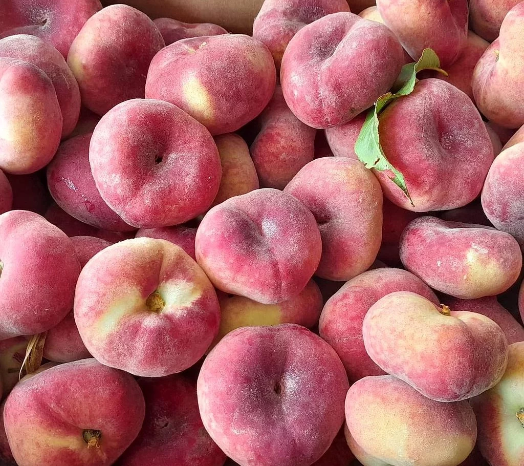 🍑 Pourquoi nos fruits à noyaux sont-ils fragiles ?