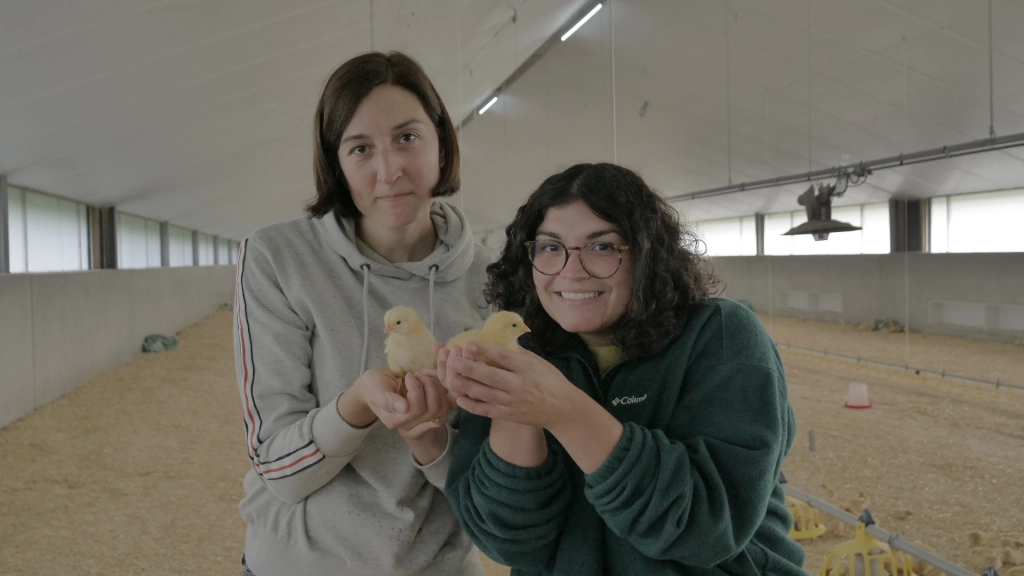 Une journée chez Coq des Prés 🐓