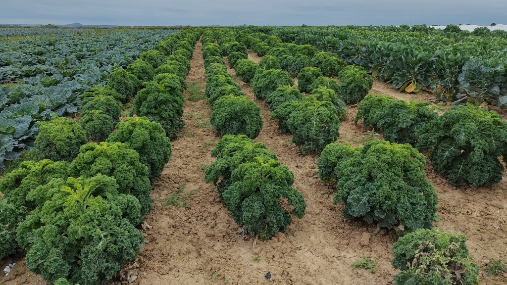 Cette semaine dans nos magasins (16/02/2025)