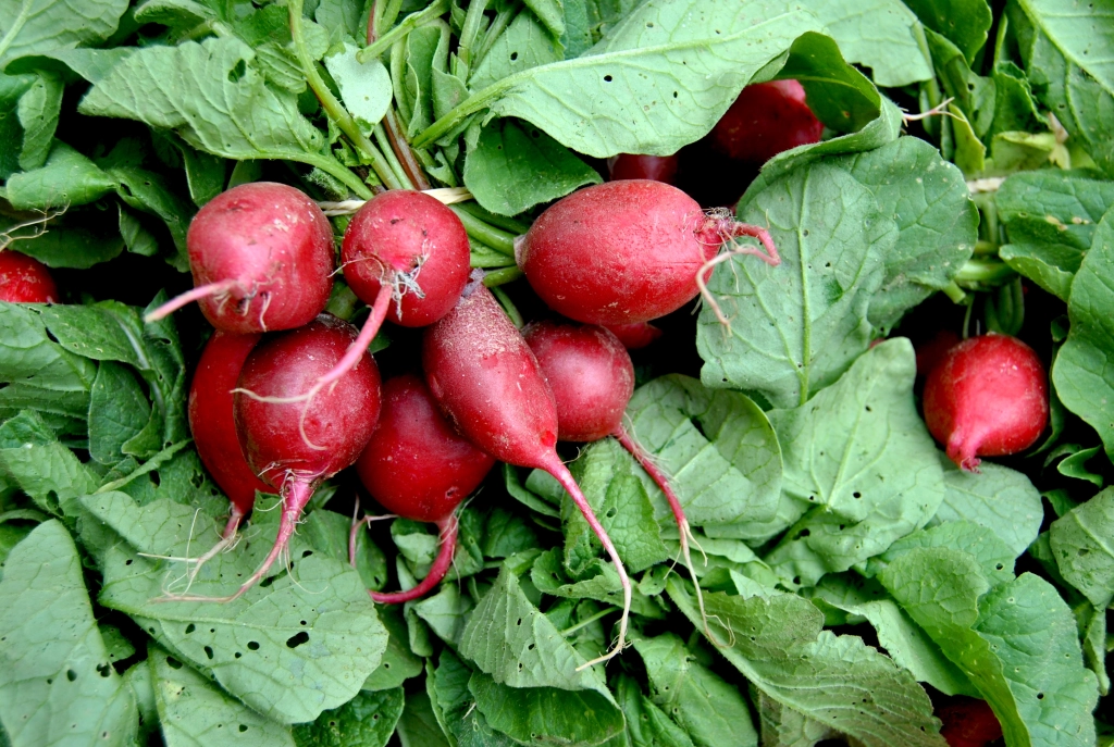 Cette semaine dans nos magasins (23/03/2026)